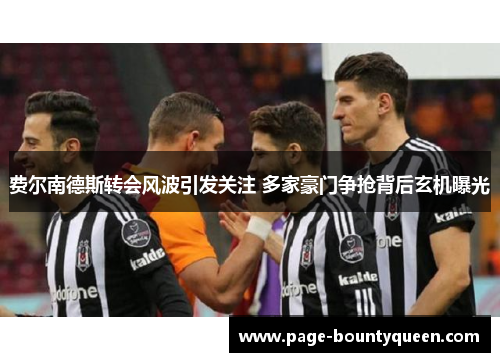 费尔南德斯转会风波引发关注 多家豪门争抢背后玄机曝光 费尔南德斯转会风波引发关注 多家豪门争抢背后玄机曝光