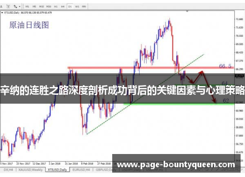辛纳的连胜之路深度剖析成功背后的关键因素与心理策略