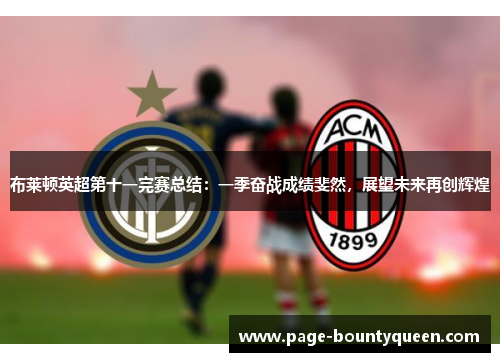 布莱顿英超第十一完赛总结：一季奋战成绩斐然，展望未来再创辉煌