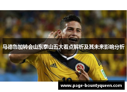 马德鲁加转会山东泰山五大看点解析及其未来影响分析 马德鲁加转会山东泰山五大看点解析及其未来影响分析